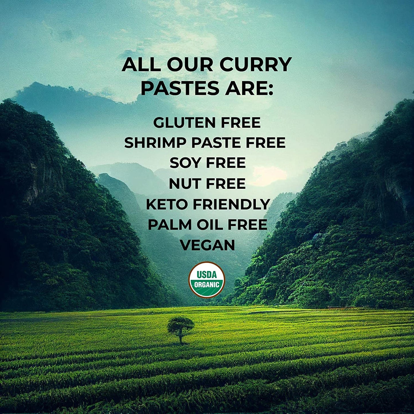 Organic Red Thai Curry Paste | 6 x 4.23 oz Glass Jars